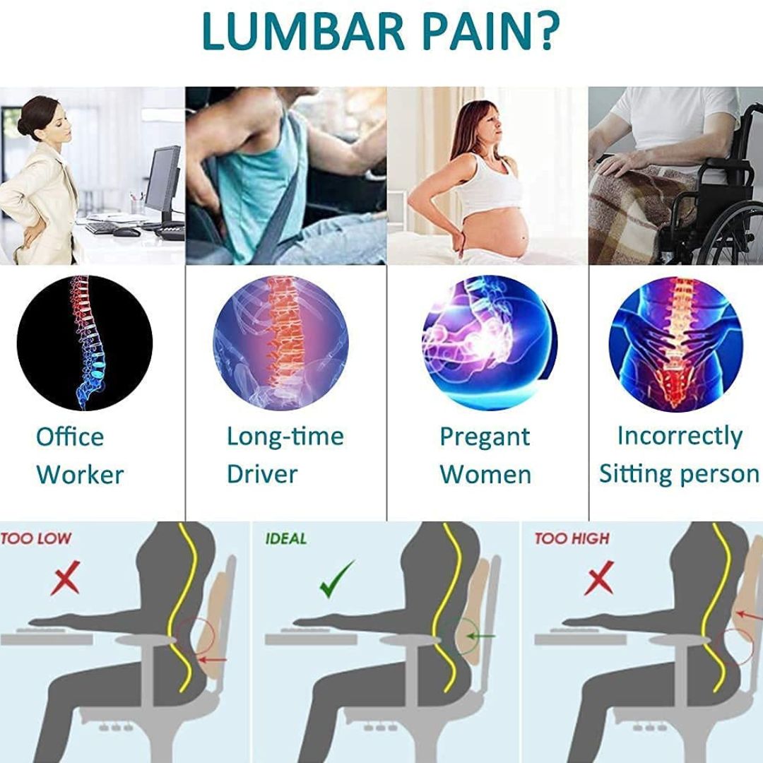 CHEVALIER Lumbar Support Backrest Compatible with Car, Office Chair for Back Pain Relief - Back Pillow for Sitting