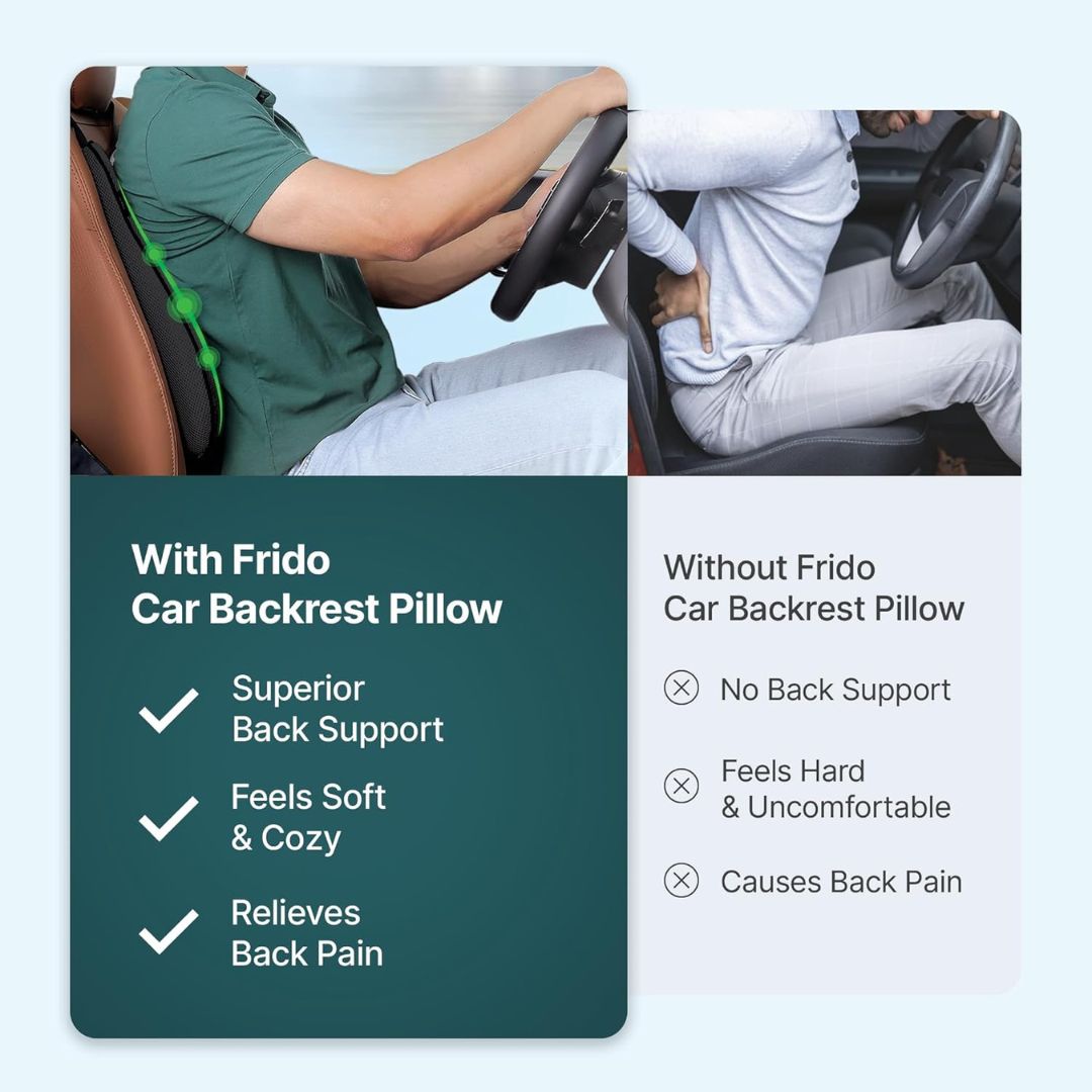 CHEVALIER Lumbar Support Backrest Compatible with Car, Office Chair for Back Pain Relief - Back Pillow for Sitting